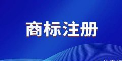 商標(biāo)注冊(cè)代理組織是怎樣的？