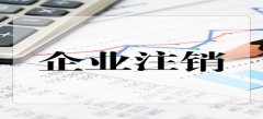 廣州公司注銷登記提交原材料標準是怎樣的？
